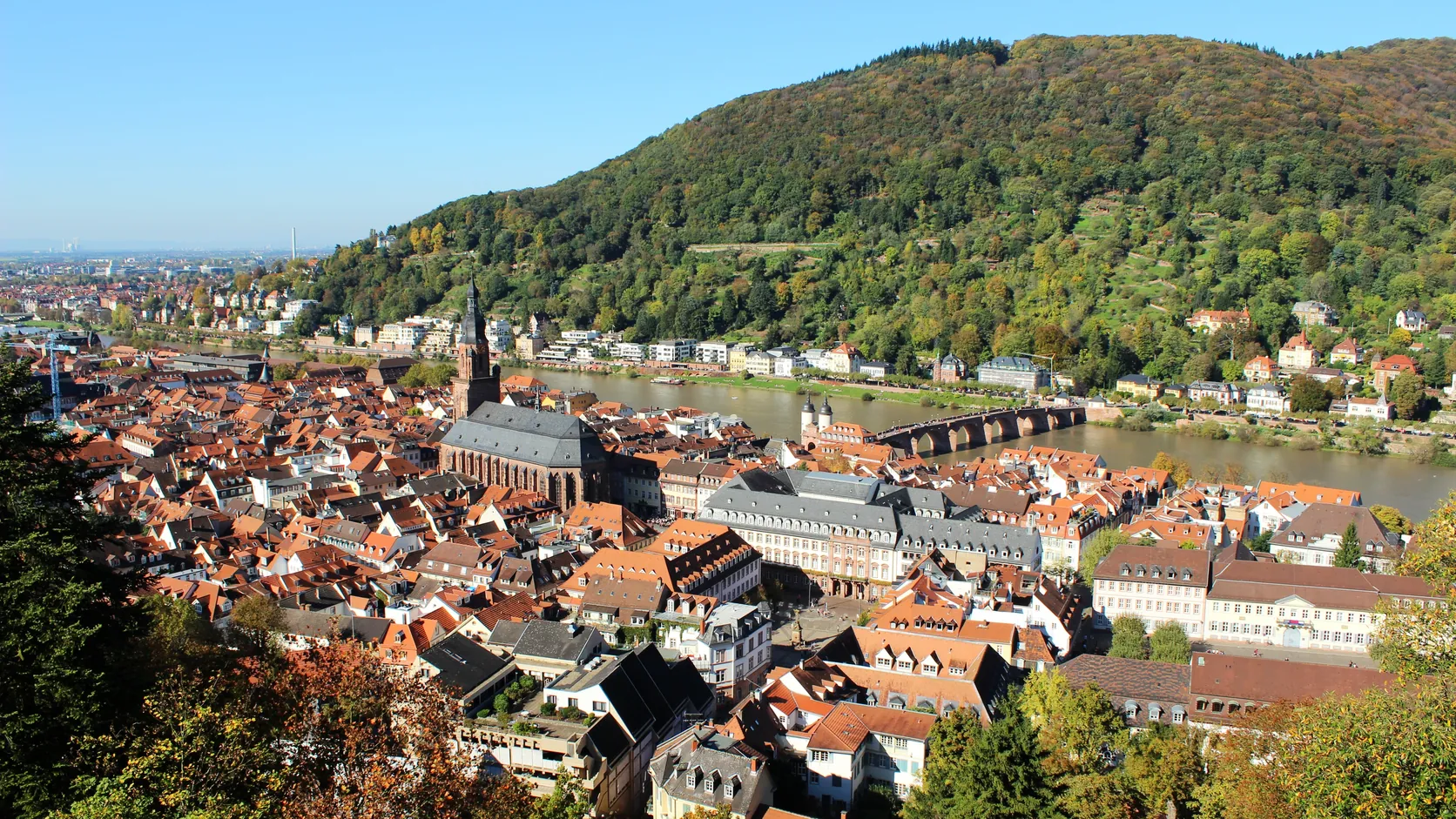 Blick über die Heidelberger Altstadt, den Neckar und die Alte Brücke.